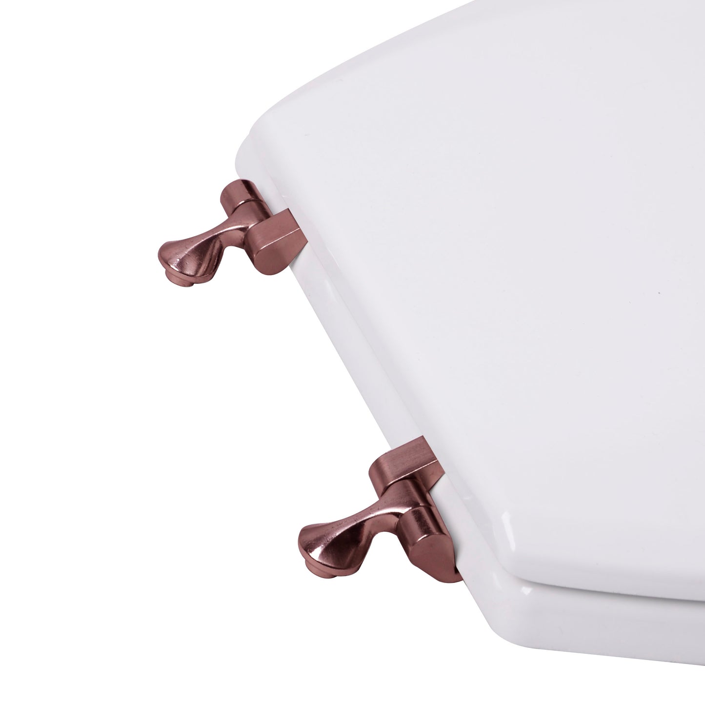 Molded Wood Residential Model 1C3E4-00OB with Oil Rubbed Bronze Hinges
